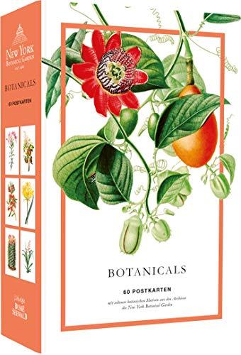 Botanicals. 60 Postkarten mit seltenen Motiven aus den Archiven des New York Botanical Garden: Hochwertige Kartonschachtel mit Deckel, 60 Postkarten, ... mit Motivdruck, Rückseite mit Adresslinien