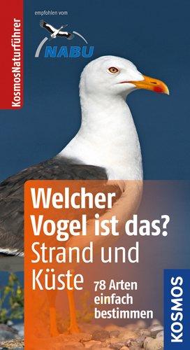 Welcher Vogel ist das? an Strand und Küste: 78 Arten einfach bestimmen