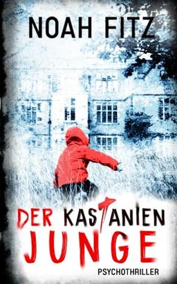 Der Kastanienjunge (Johannes-Hornoff-Thriller, Band 13)