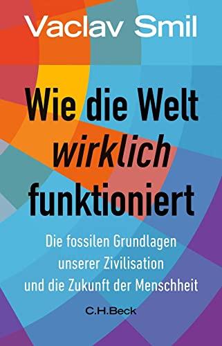 Wie die Welt wirklich funktioniert: Die fossilen Grundlagen unserer Zivilisation und die Zukunft der Menschheit (Beck Paperback)