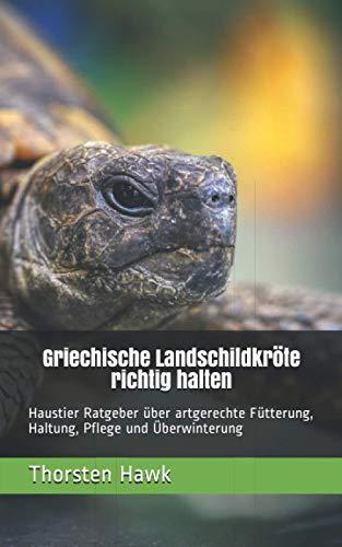 Griechische Landschildkröte richtig halten: Haustier Ratgeber über artgerechte Fütterung, Haltung, Pflege und Überwinterung