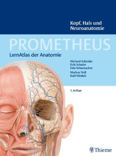 PROMETHEUS Kopf, Hals und Neuroanatomie: LernAtlas Anatomie