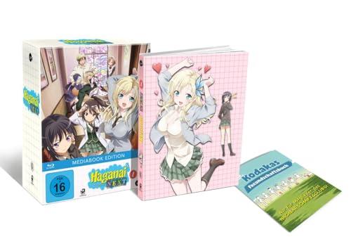 Haganai Next (Volume 1) [Blu-ray]