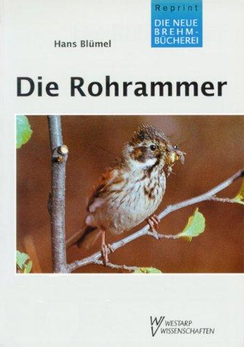 ROHRAMMER  EMBERIZA SCHOENICLUS