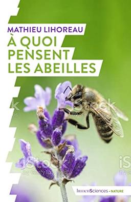 A quoi pensent les abeilles