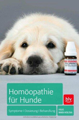 Homöopathie für Hunde: Symptome | Dosierung | Behandlung