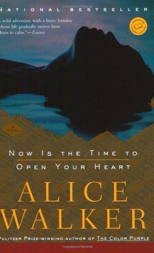 Now Is the Time to Open Your Heart: A Novel