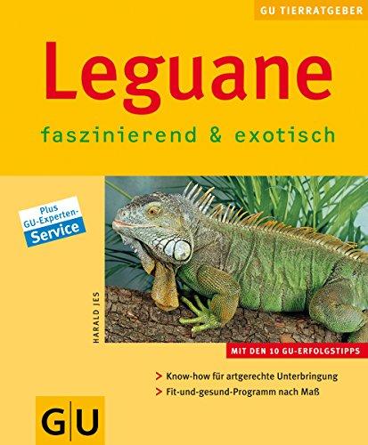 Leguane . neue Tierratgeber