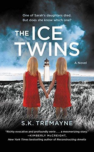 The Ice Twins: A Novel