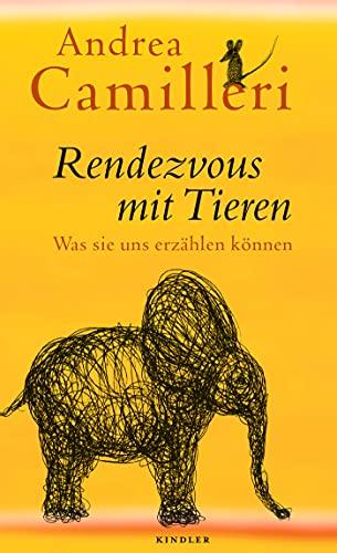 Rendezvous mit Tieren: Was sie uns erzählen können