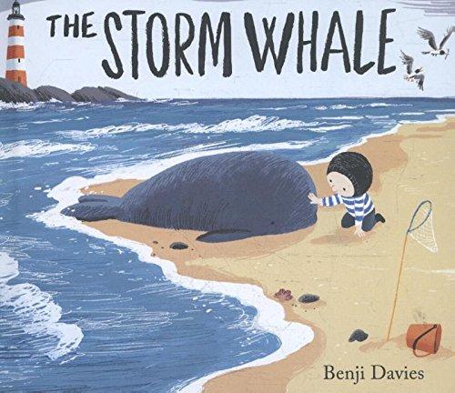 The Storm Whale