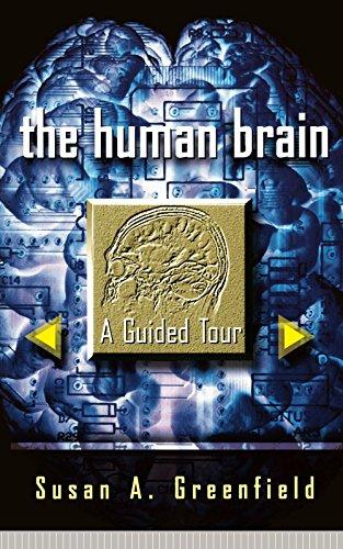 The Human Brain: A Guided Tour (Science Masters Series)