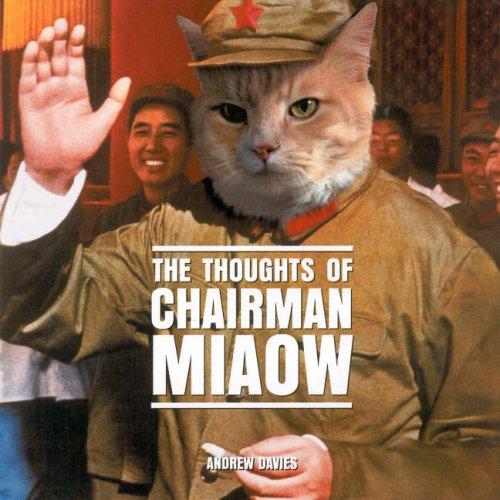 Thoughts of Chairman Miaow