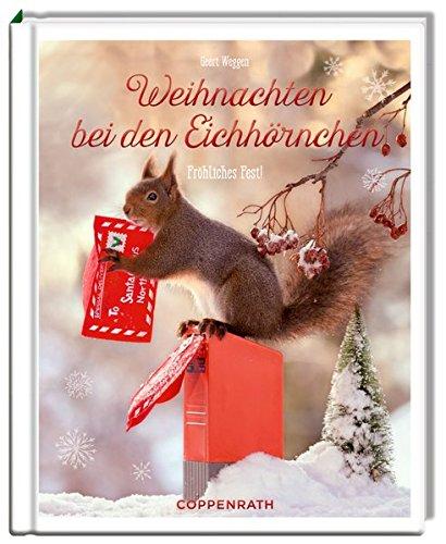 Weihnachten bei den Eichhörnchen: Fröhliches Fest!