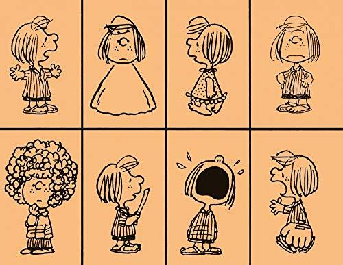 Snoopy & les Peanuts. Vol. 14. 1977-1978