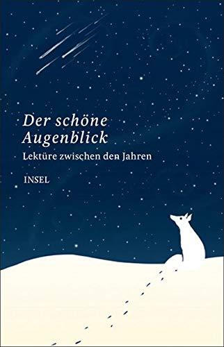 Lektüre zwischen den Jahren: Der schöne Augenblick (insel taschenbuch)