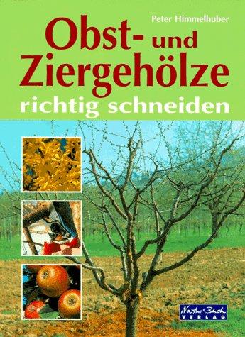 Obst- und Ziergehölze richtig schneiden