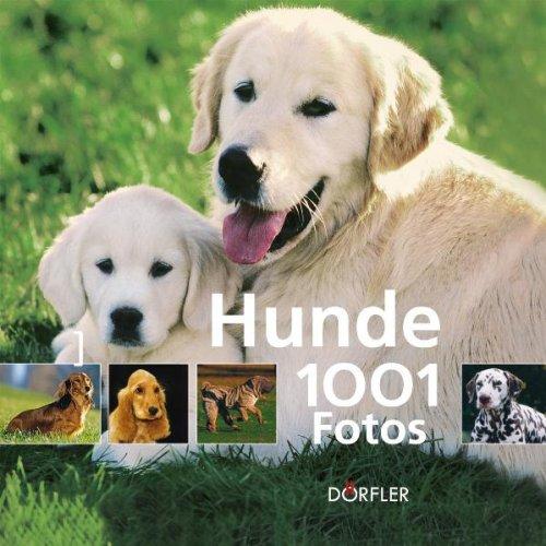 Hunde - 1001 Fotos