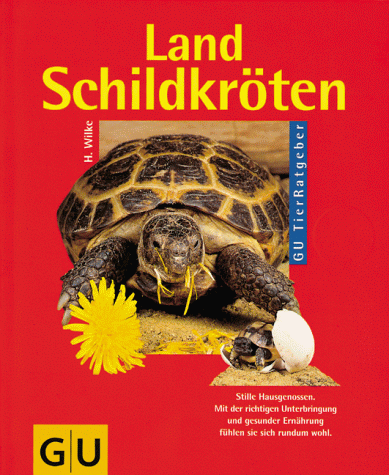 Landschildkröten