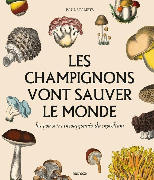 Les champignons vont sauver le monde : les pouvoirs insoupçonnés du mycélium