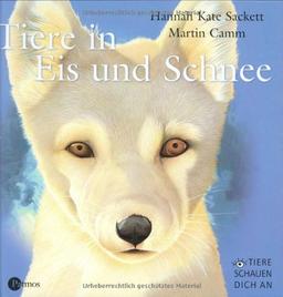 Tiere in Eis und Schnee