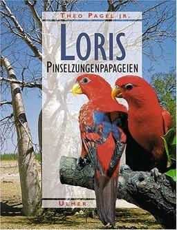 Loris: Freileben, Haltung und Zucht der Pinselzungenpapageien