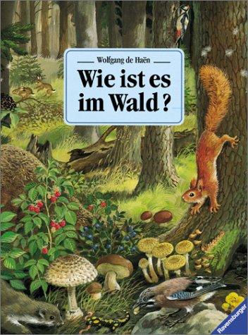 Wie ist es im Wald?