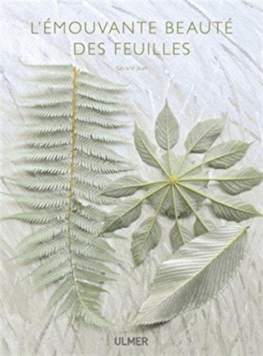 L'émouvante beauté des feuilles