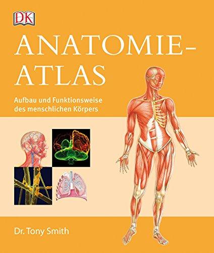 Anatomie-Atlas: Aufbau und Funktionsweise des menschlichen Körpers