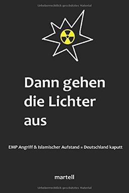 Dann gehen die Lichter aus: EMP Angriff & islamischer Aufstand = Deutschland kaputt