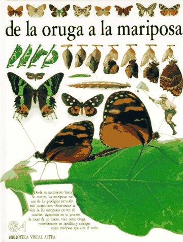 De LA Oruga a LA Mariposa (Eyewitness Series in Spanish)