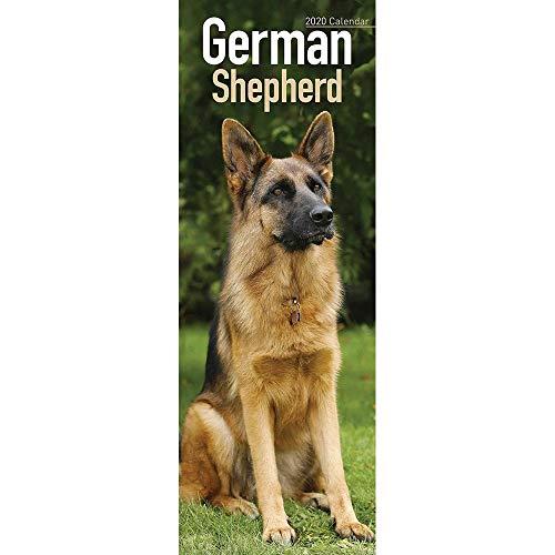 German Shepherd Slim Calendar 2020