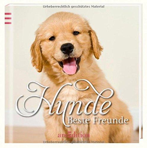 Hunde: Beste Freunde