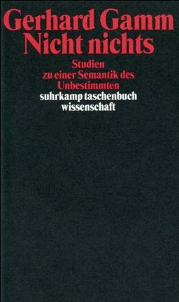 Nicht nichts: Studien zu einer Semantik des Unbestimmten (suhrkamp taschenbuch wissenschaft)