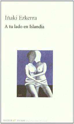 A tu lado en Islandia (Poesia (huerga Y Fierro))