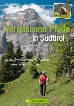 Vergessene Pfade in Südtirol: Der etwas andere Wanderführer mit 35 außergewöhnlichen Wanderwegen abseits des üblichen Trubels, mit Wandern im ... abseits des Trubel (Erlebnis Bergsteigen)