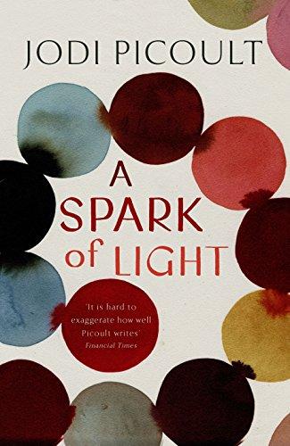 A Spark of Light: from the author everyone should be reading