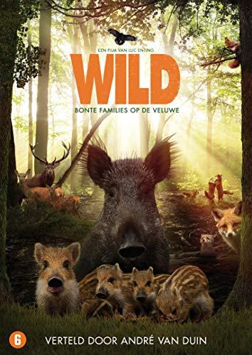 DVD - Wild (1 DVD)