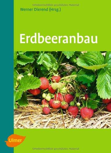 Erdbeeranbau