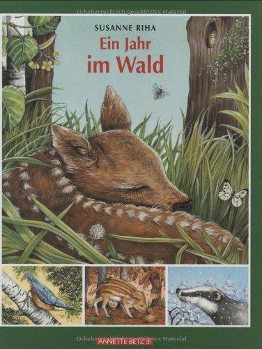 Ein Jahr im Wald