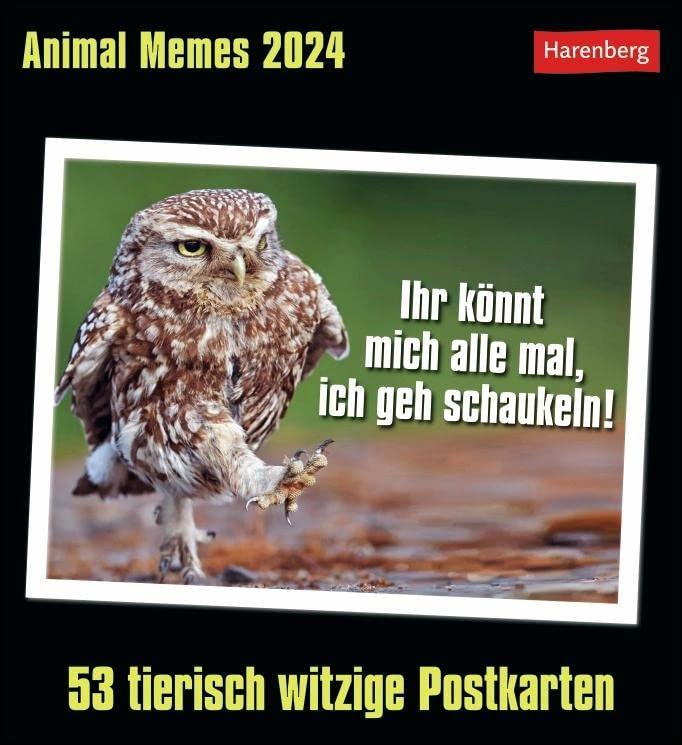 Animal Memes Postkartenkalender 2024: 53 tierisch witzige Postkarten