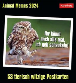 Animal Memes Postkartenkalender 2024: 53 tierisch witzige Postkarten