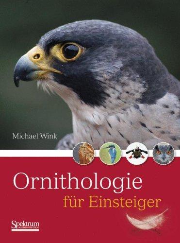 Ornithologie für Einsteiger