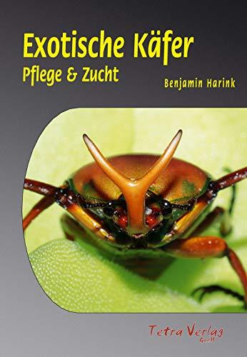 Exotische Käfer (Pflege und Zucht)