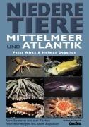 Niedere Tiere in Mittelmeer und Atlantik: Von Spanien bis zur Türkei. Von Norwegen bis zum Äquator