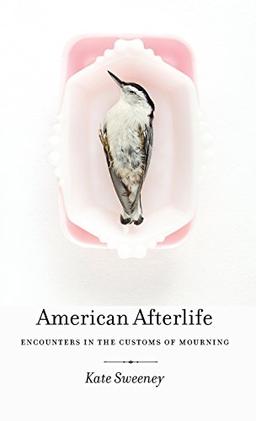 American Afterlife: Encounters in the Customs of Mourning