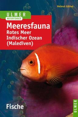 Meeresfauna. Fische: Rotes Meer. Indischer Ozean (Malediven). 396 Arten in Wort und Bild