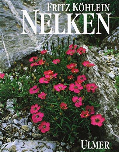 Nelken