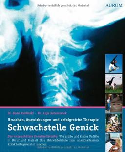 Schwachstelle Genick: Wie große und kleine Unfälle in Beruf und Freizeit Ihre Halswirbelsäule zum unaufhaltsamen Krankheitsgenerator machen