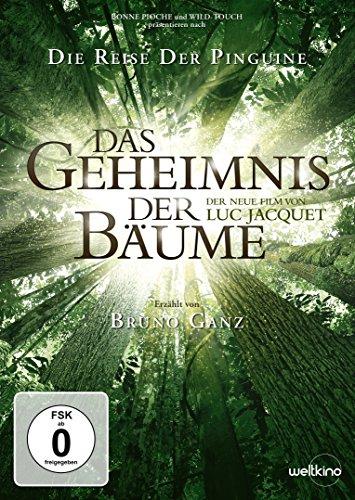 Das Geheimnis der Bäume